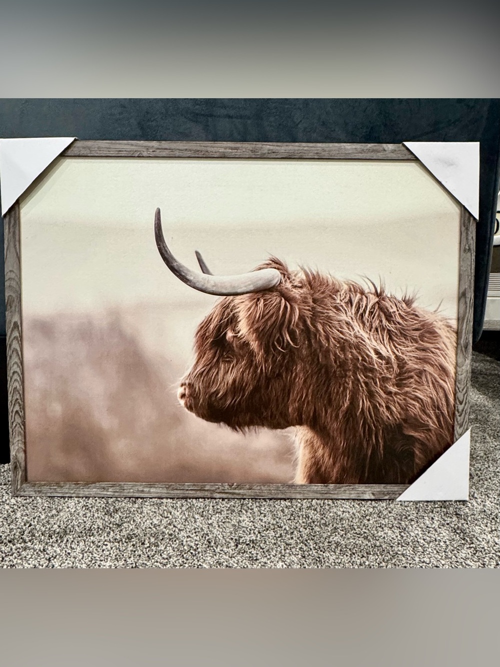 The Spring Shop Framed Highland Cow Wall Art - Brown & Cream
